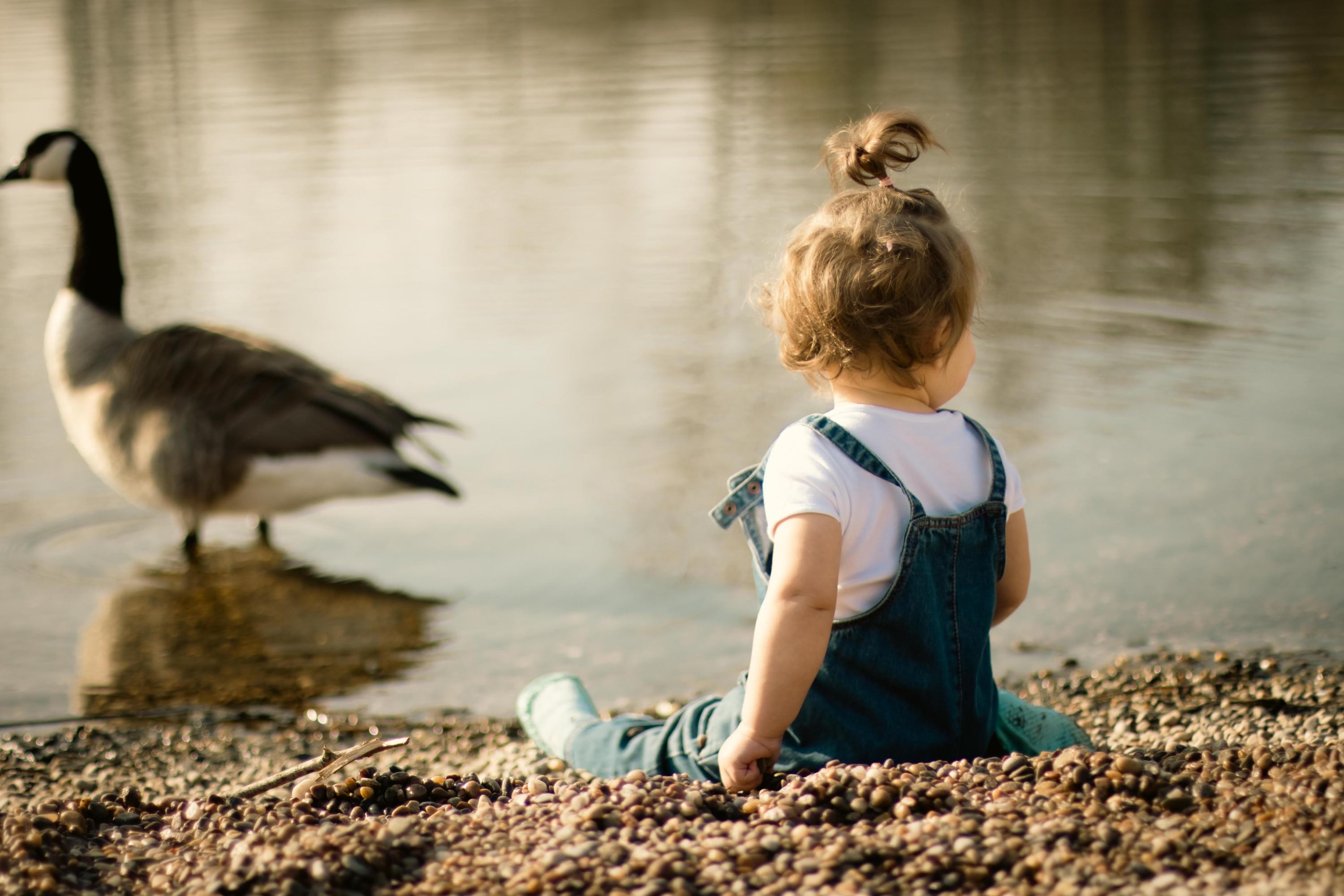 The Unparalleled Value of a Professional Portrait Photographer