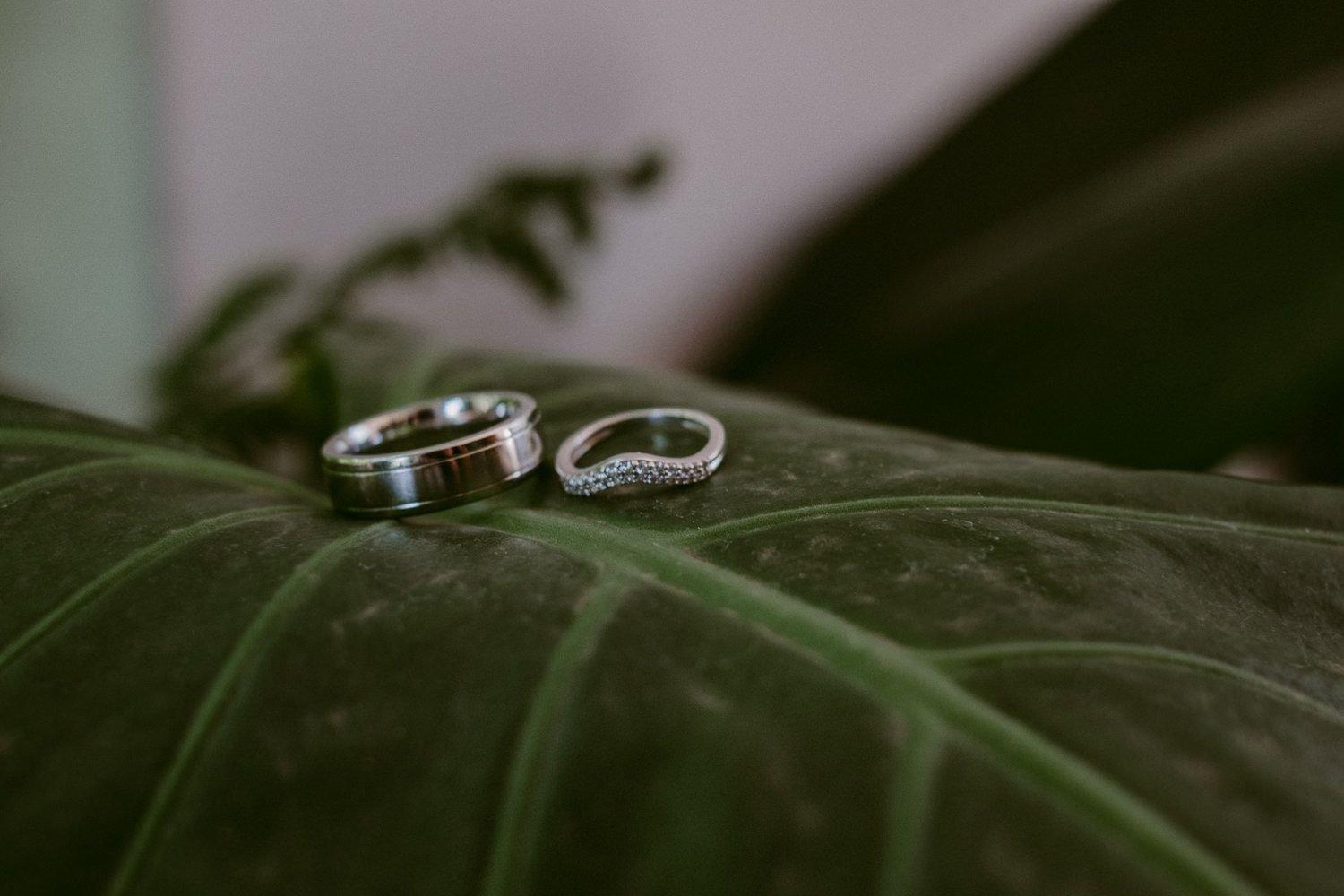 carousel-hero-element image-1